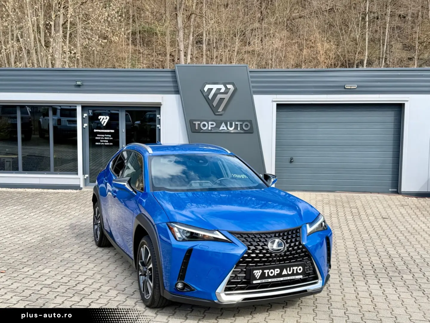 LEXUS UX 250 h Style.LED.ACC.Kamera.