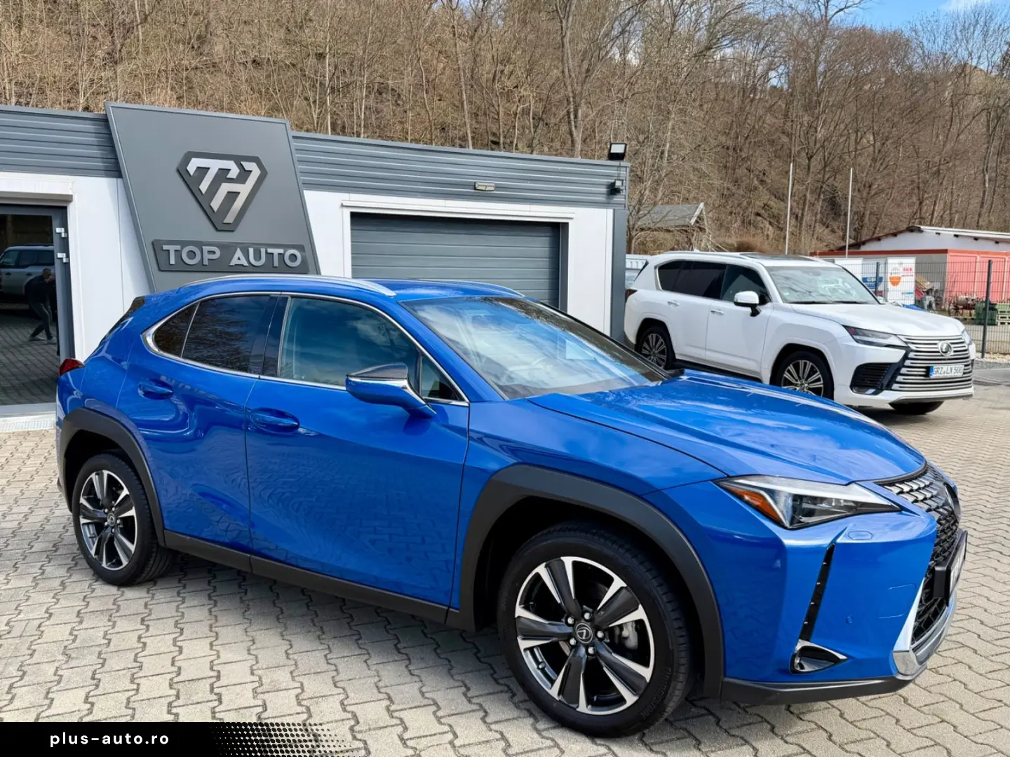 LEXUS UX 250 h Style.LED.ACC.Kamera.