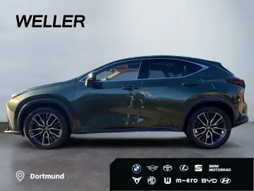 LEXUS NX 350h E-FOUR Luxury Line  Matrix HUD Leder CAM