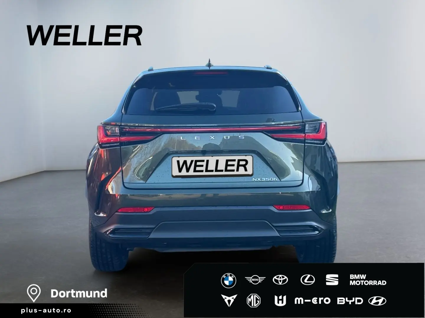 LEXUS NX 350h E-FOUR Luxury Line  Matrix HUD Leder CAM