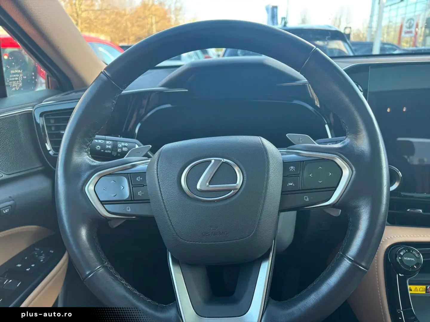 LEXUS NX 350h E-FOUR Luxury Line  Matrix HUD Leder CAM
