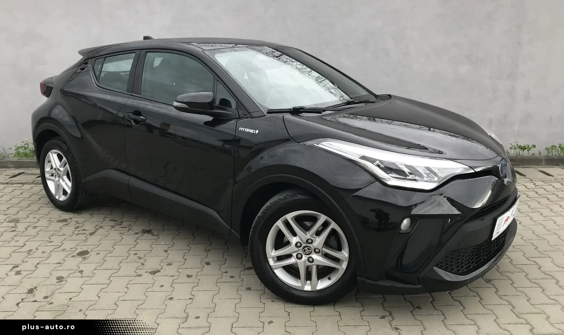 Toyota C-HR Business-Edition