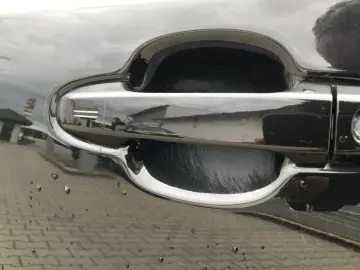 Toyota C-HR Business-Edition