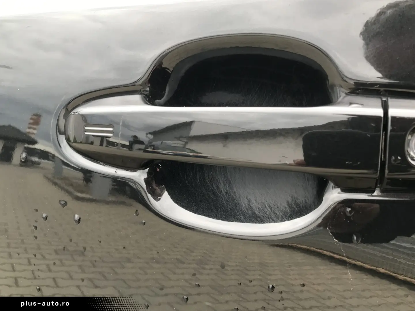 Toyota C-HR Business-Edition