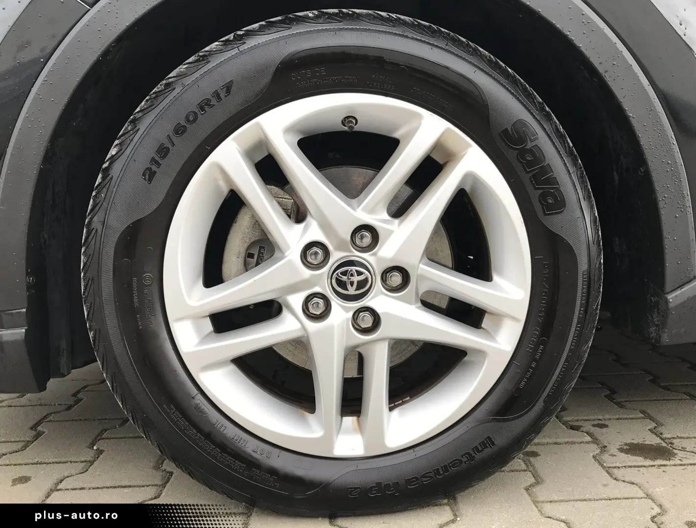 Toyota C-HR Business-Edition