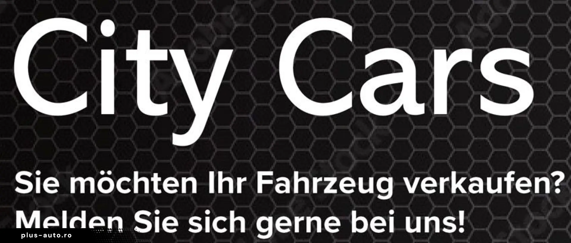 FORD Raptor Doppelkabine 4x4 Leder Navi Kamera