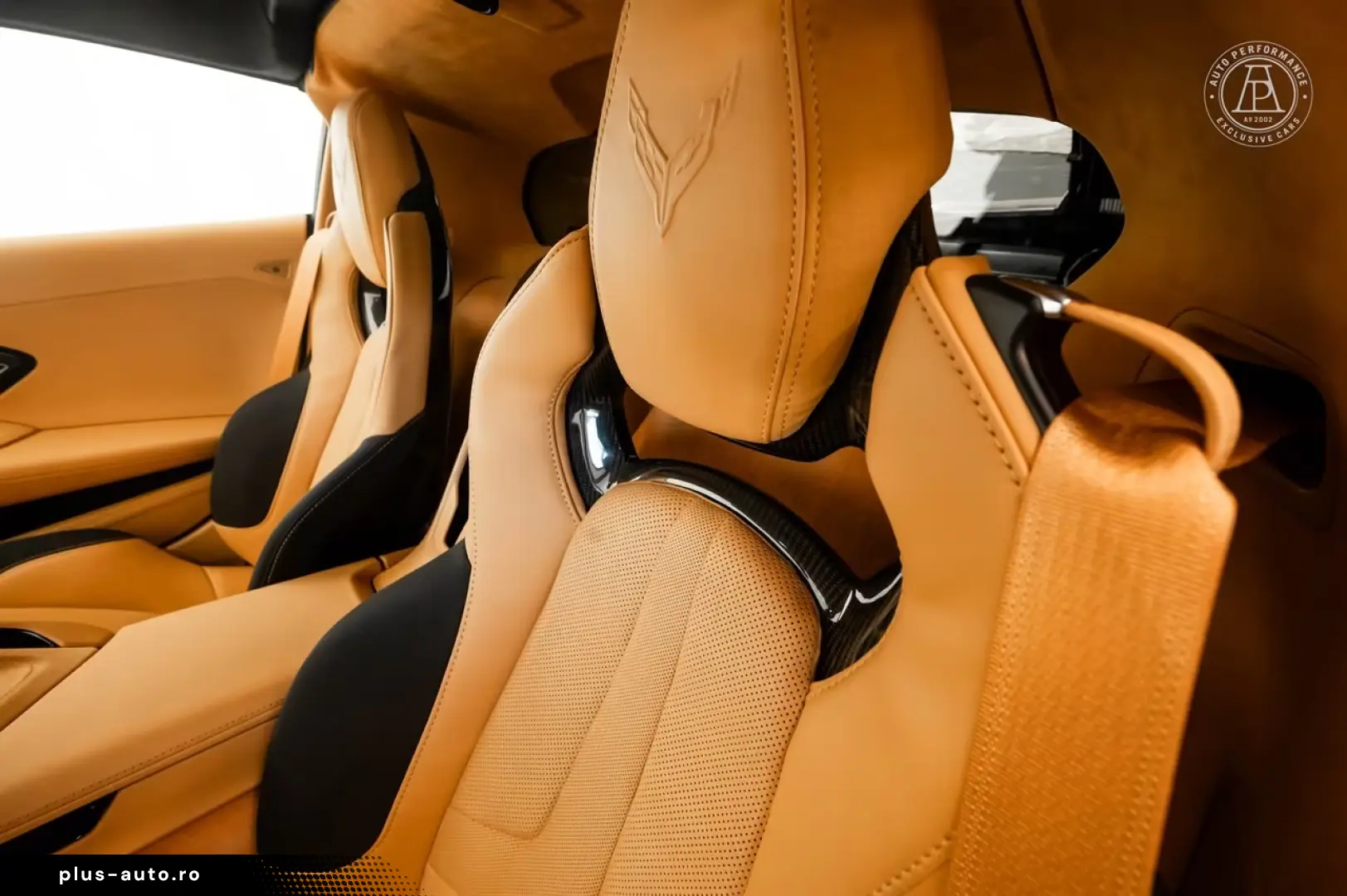 Corvette C8 Stingray Targa V8 482hp