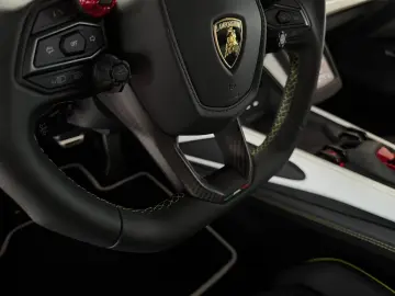 Lamborghini Revuelto  Carbon