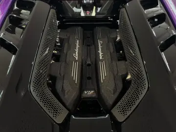 Lamborghini Revuelto  Carbon