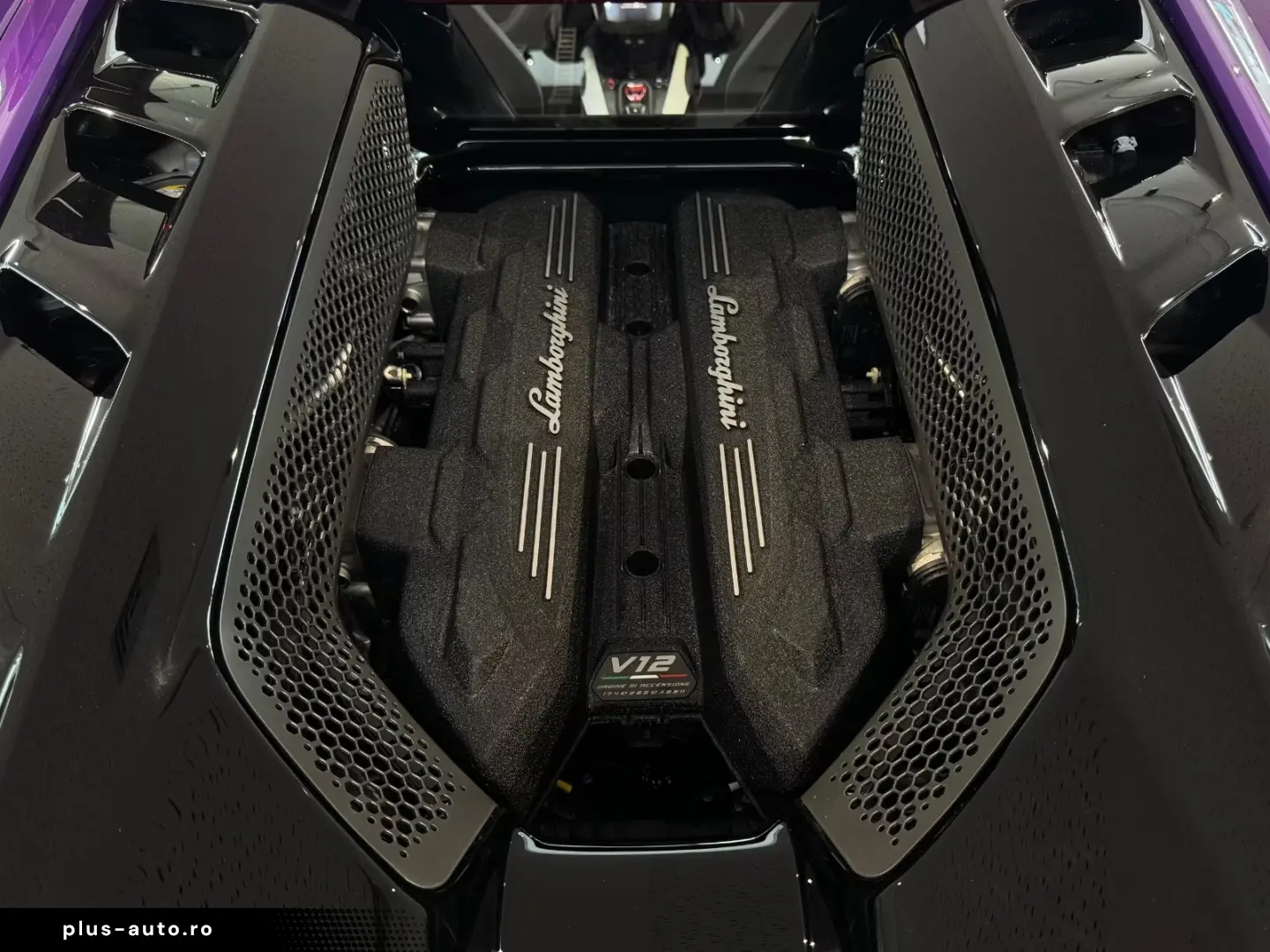 Lamborghini Revuelto  Carbon