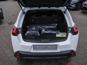 Lexus UX 300h F Sport