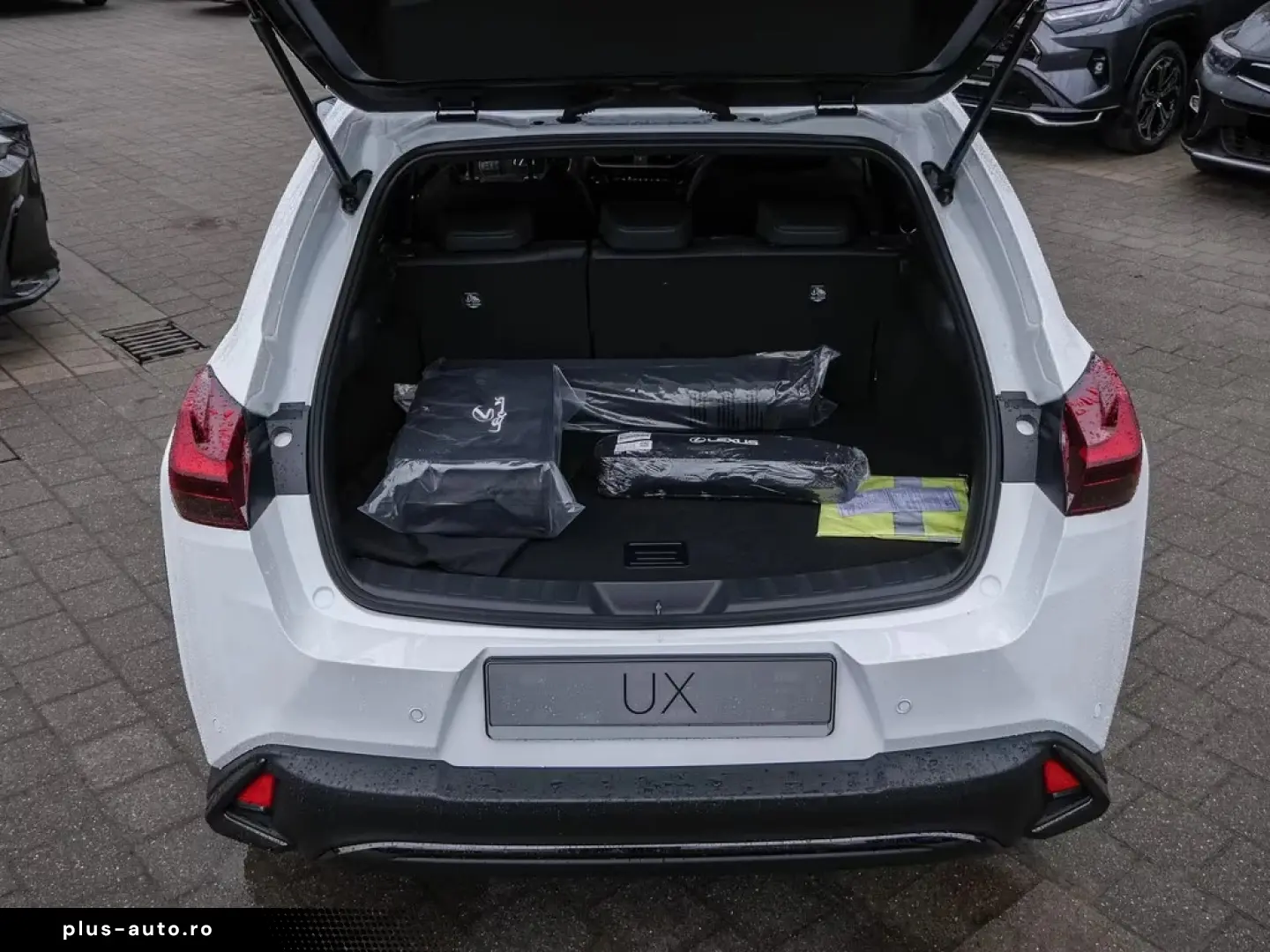 Lexus UX 300h F Sport