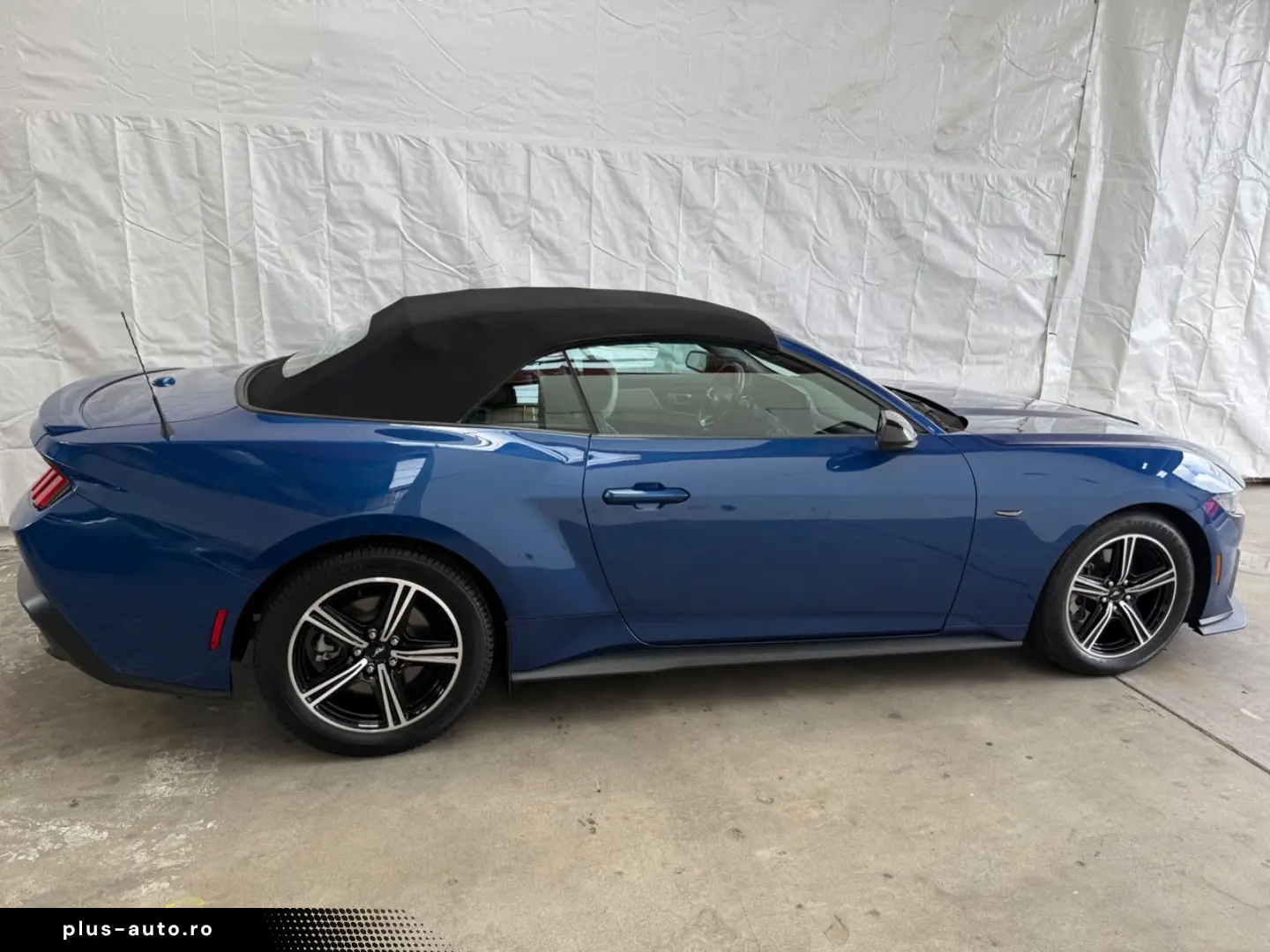 FORD Mustang Cabrio2.3 CarPlay Leder Nav Totw Mem Kam