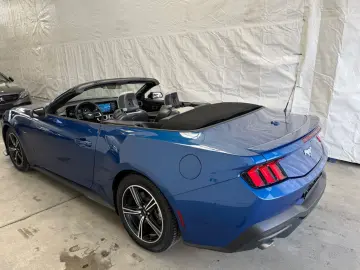 FORD Mustang Cabrio2.3 CarPlay Leder Nav Totw Mem Kam