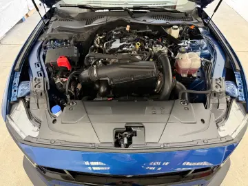 FORD Mustang Cabrio2.3 CarPlay Leder Nav Totw Mem Kam