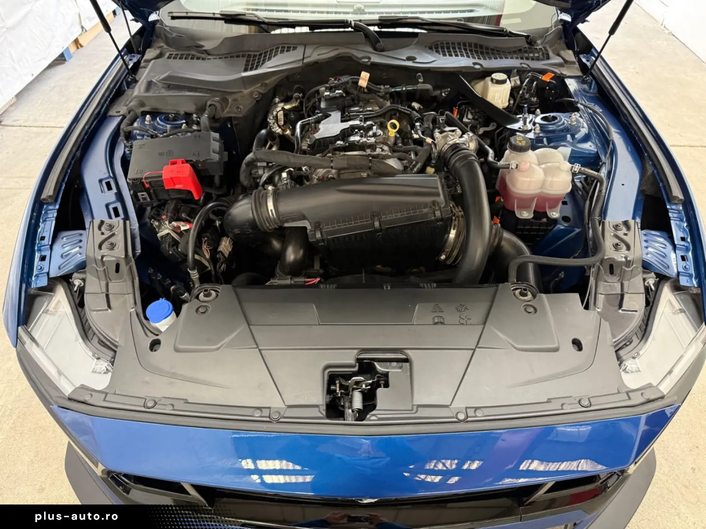 FORD Mustang Cabrio2.3 CarPlay Leder Nav Totw Mem Kam