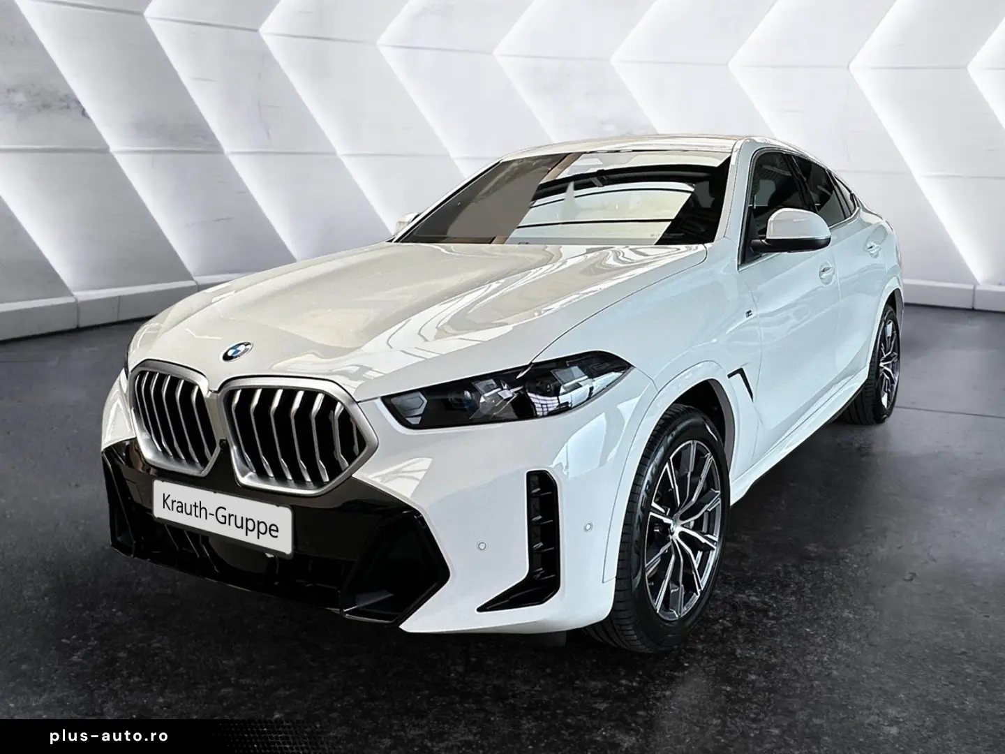BMW X6 xDrive30d M Sport HiFi DAB Standhzg.