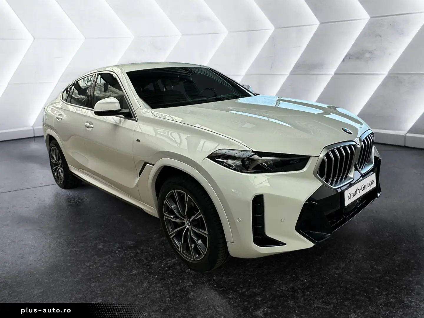 BMW X6 xDrive30d M Sport HiFi DAB Standhzg.