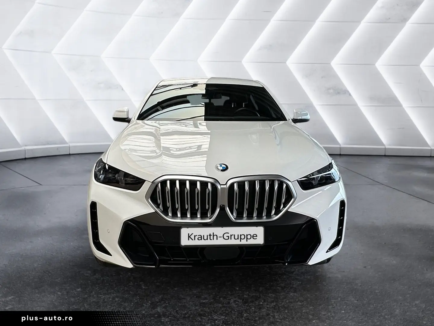 BMW X6 xDrive30d M Sport HiFi DAB Standhzg.