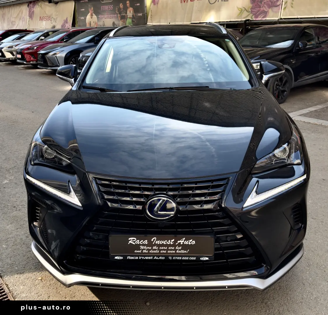Lexus Seria NX 300h Executive Line