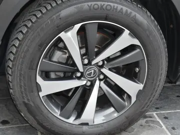 Lexus Seria NX 300h AWD Luxury