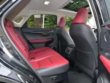 Lexus Seria NX 300h AWD Luxury