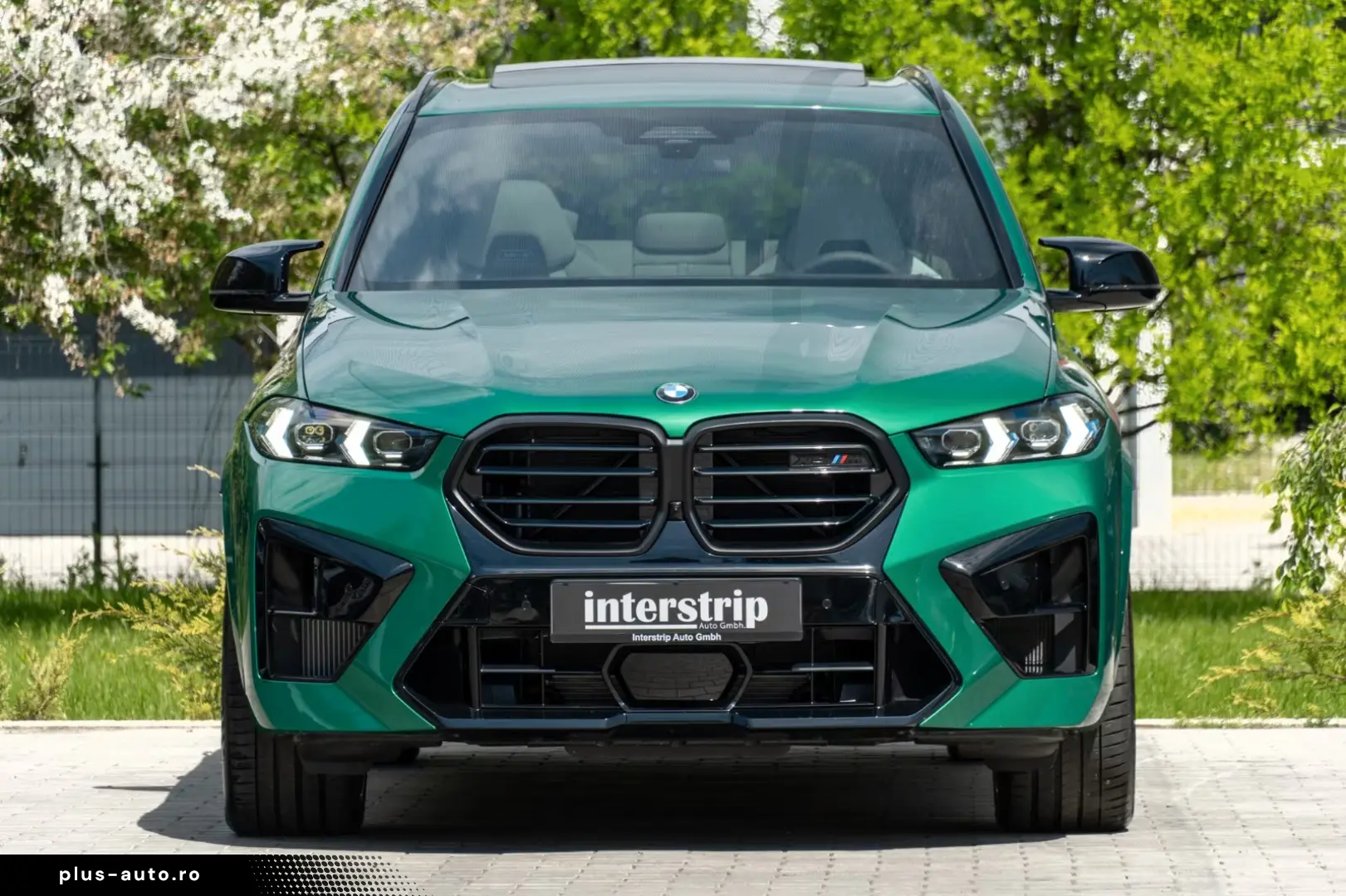 BMW X5 M DR.ASS.PRO.