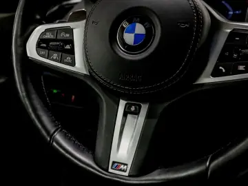 BMW X7 xDrive 40 d M Sport Individual-Sky lounge