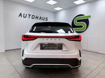 LEXUS NX 450 h  E-Four F SPORT  HUD MATRIX