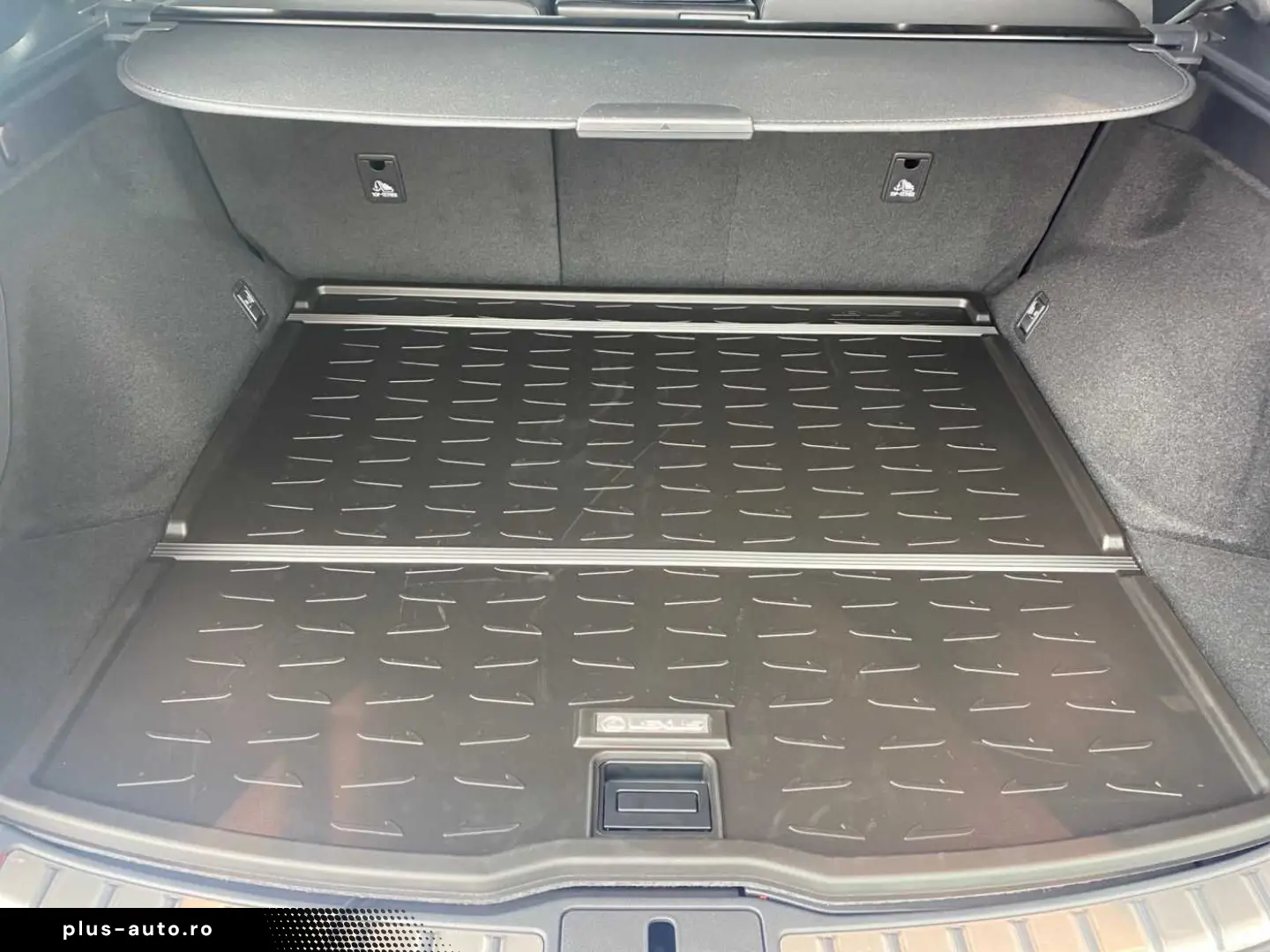 LEXUS RX 500h 2.4 Hybrid F-Sport Panoramic