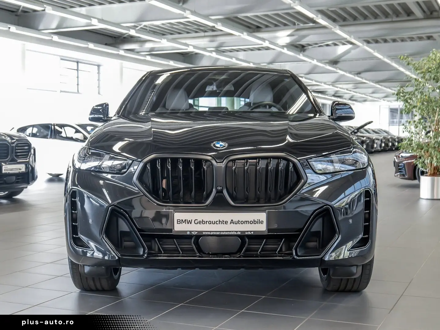 BMW X6 xDrive30d M Sport AHK RFK NAVI LED PDC V H