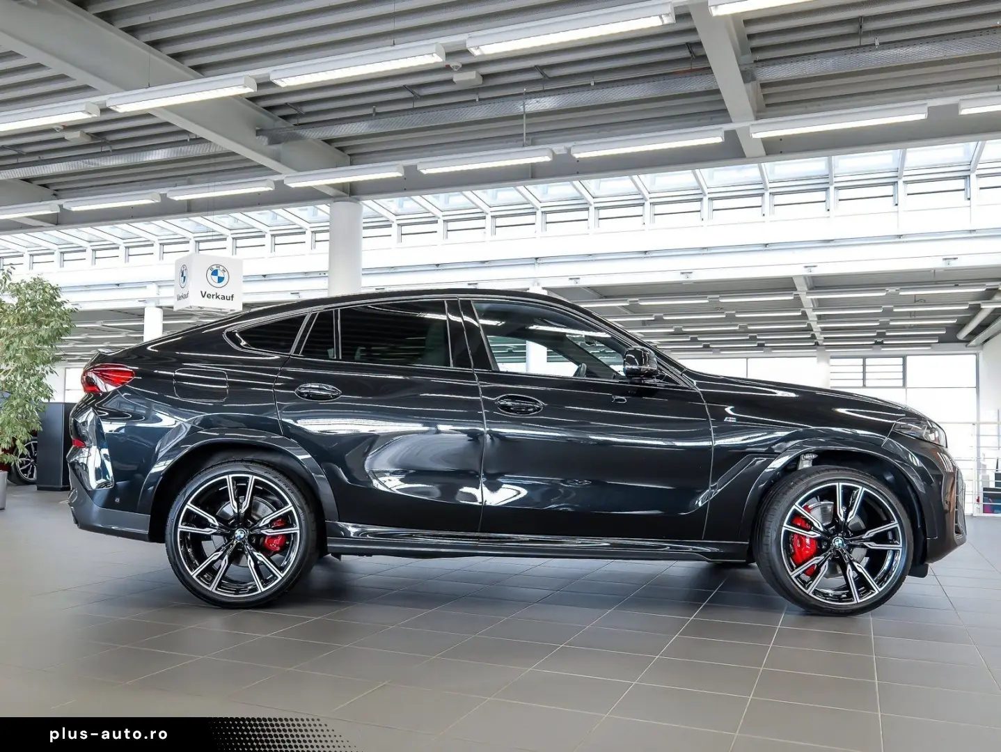 BMW X6 xDrive30d M Sport AHK RFK NAVI LED PDC V H