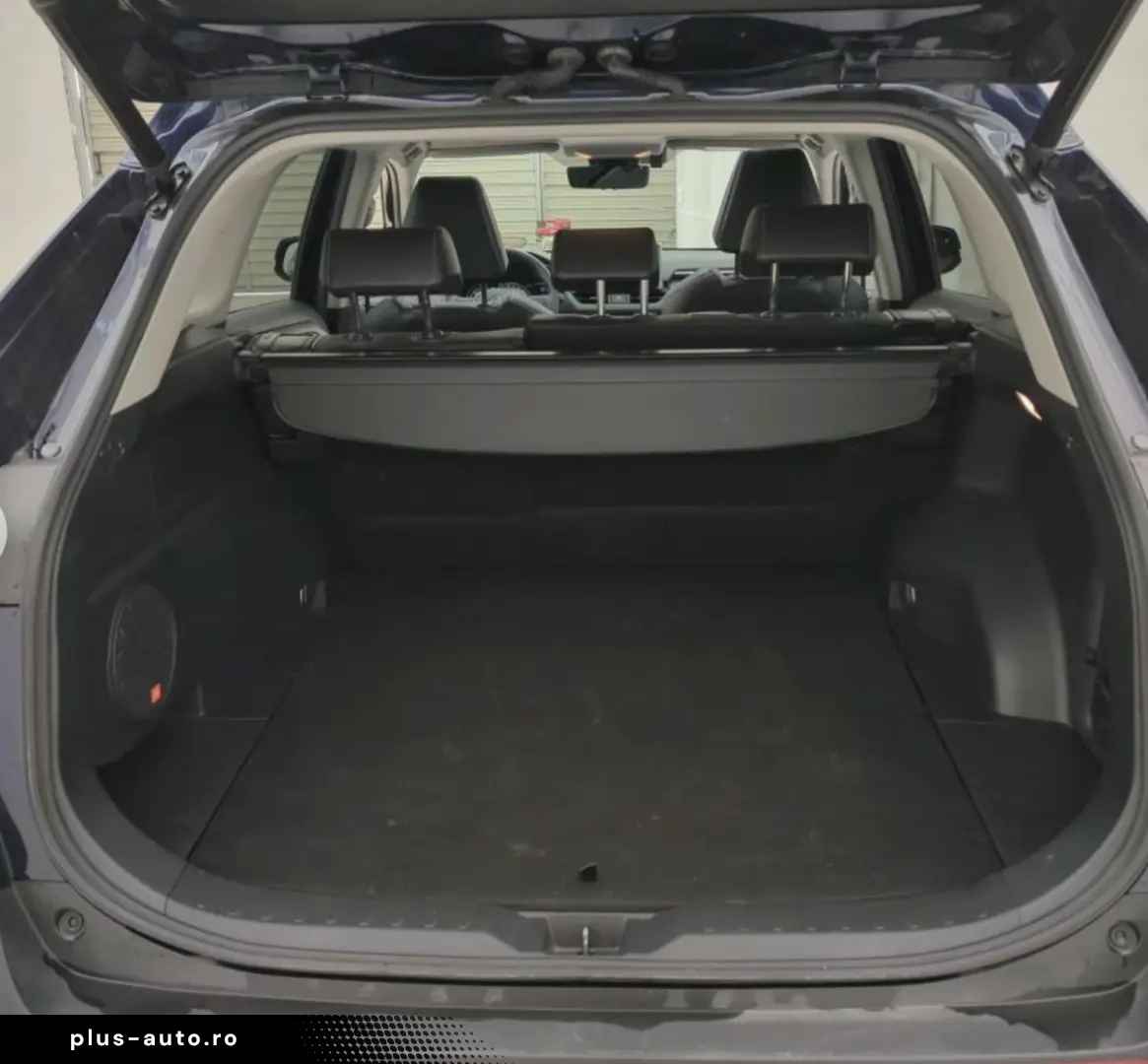 RAV4 2.5 HYBRID LUXURY PREMIUM HSD E-CVT 4WD