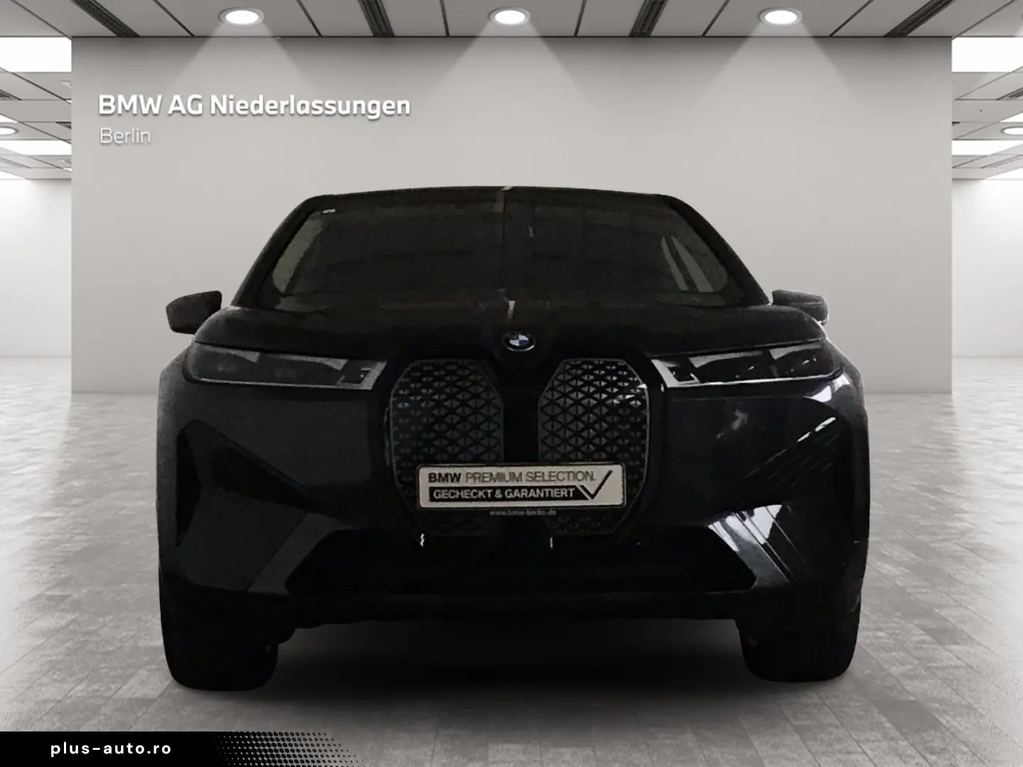 BMW iX xDrive40 AHK Driv.Assist.Prof Harman K Laser