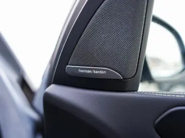 BMW X5 xDrive40d M-Sport AHK ACC PANO Sitzlüft 360