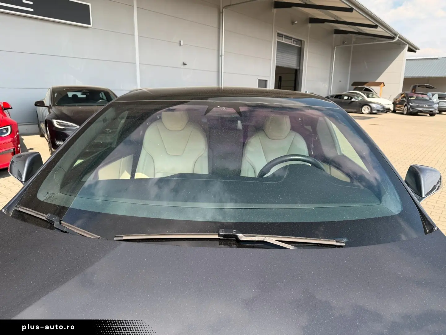 TESLA MODEL S RAVEN PERFORMANCE   21INCH   CREAM