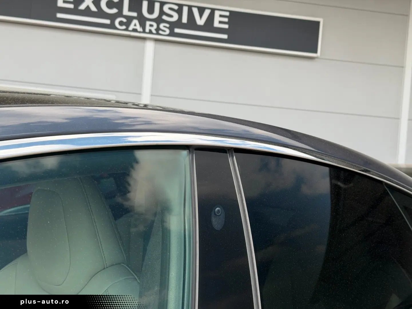 TESLA MODEL S RAVEN PERFORMANCE   21INCH   CREAM