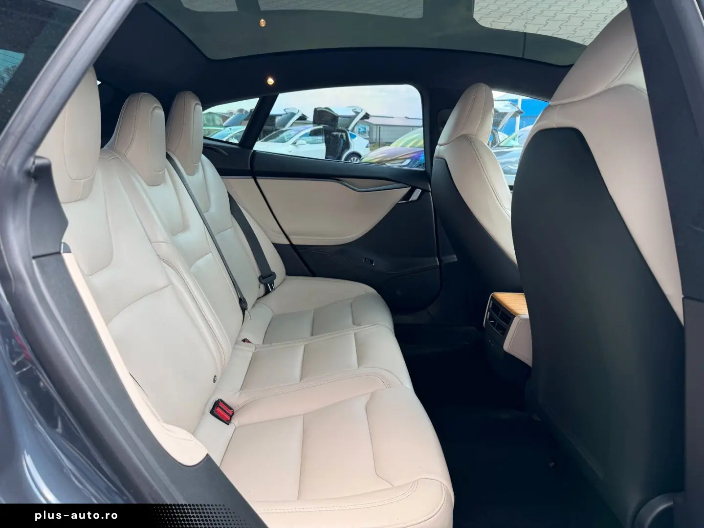 TESLA MODEL S RAVEN PERFORMANCE   21INCH   CREAM