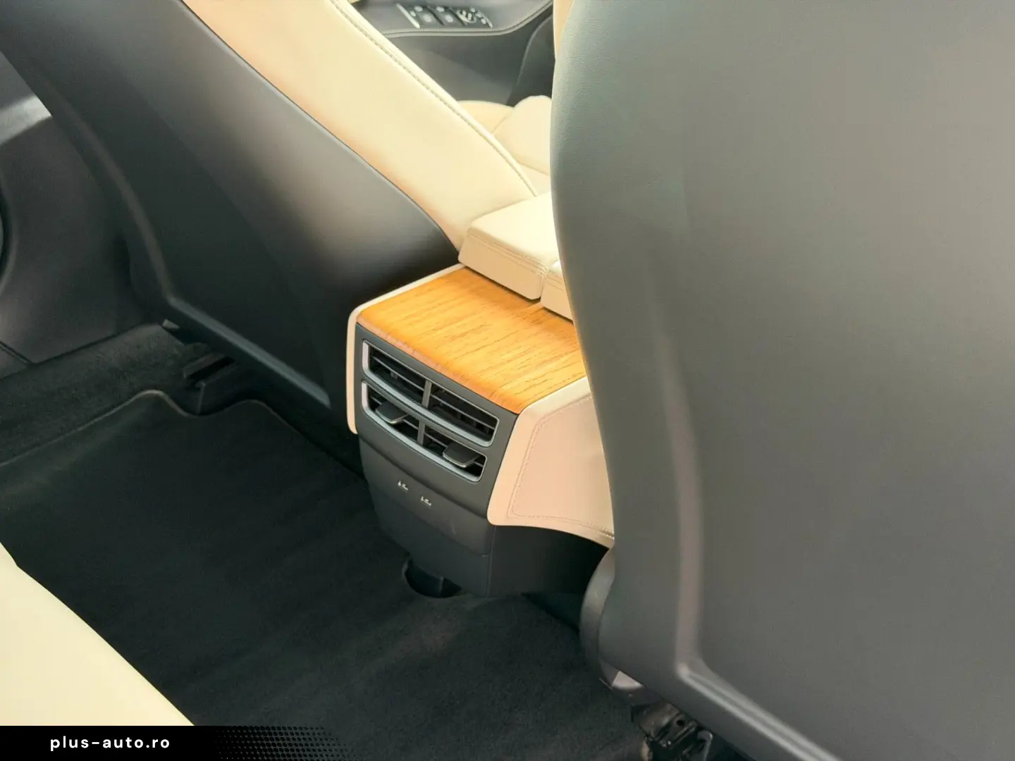 TESLA MODEL S RAVEN PERFORMANCE   21INCH   CREAM