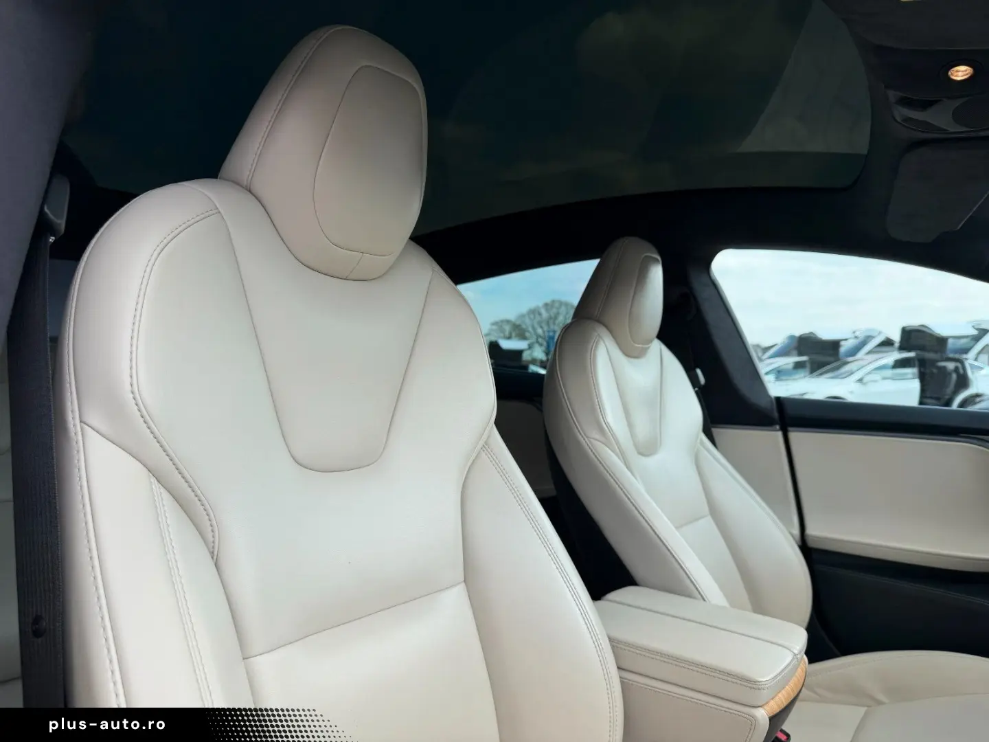 TESLA MODEL S RAVEN PERFORMANCE   21INCH   CREAM