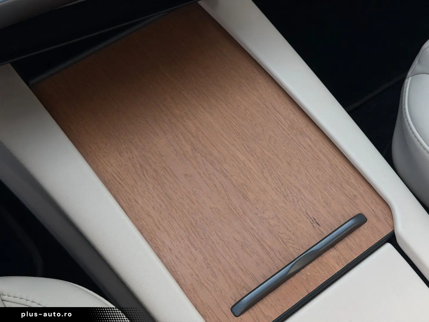 TESLA MODEL S RAVEN PERFORMANCE   21INCH   CREAM