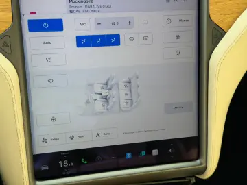 TESLA MODEL S RAVEN PERFORMANCE   21INCH   CREAM