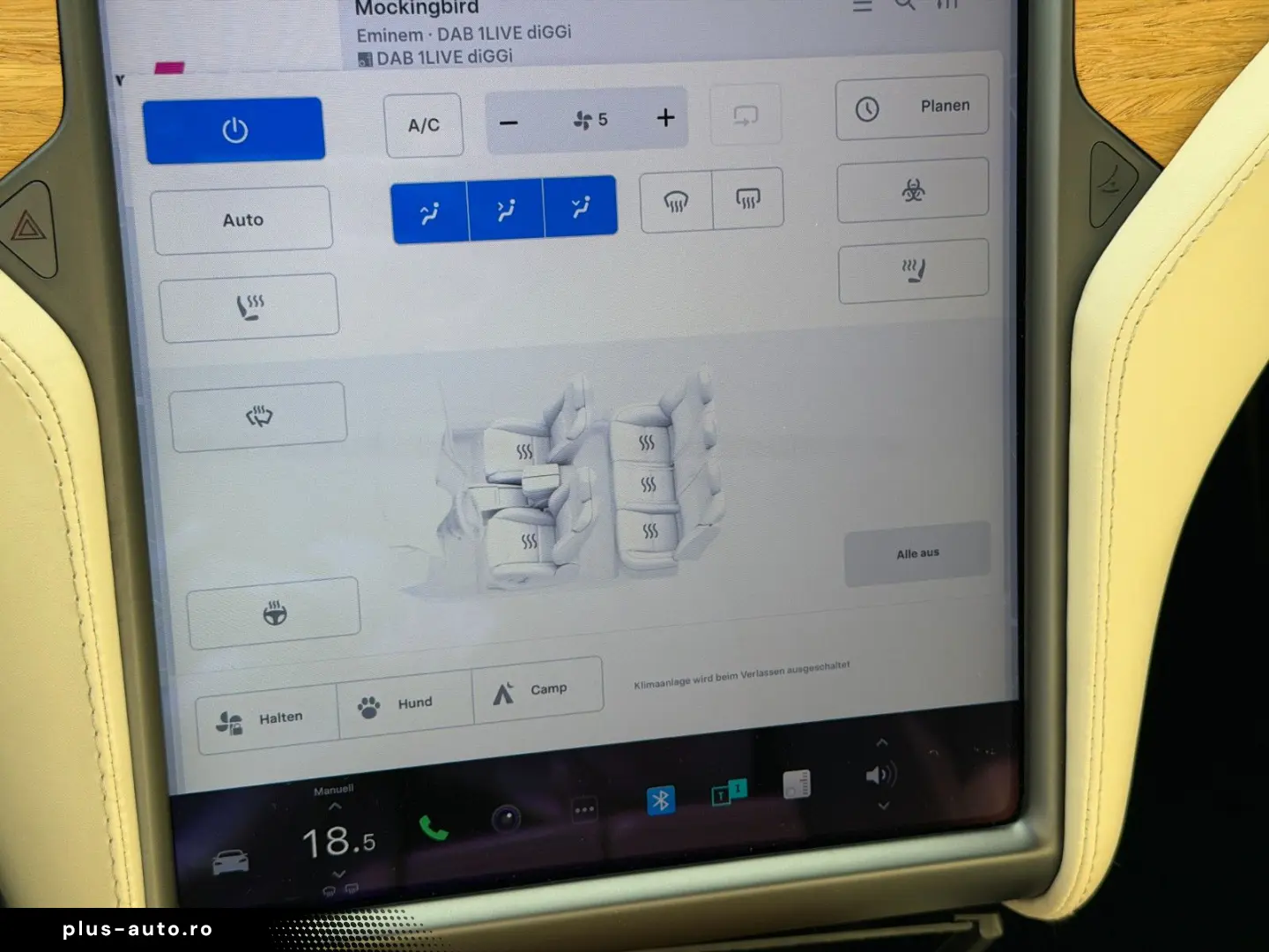 TESLA MODEL S RAVEN PERFORMANCE   21INCH   CREAM