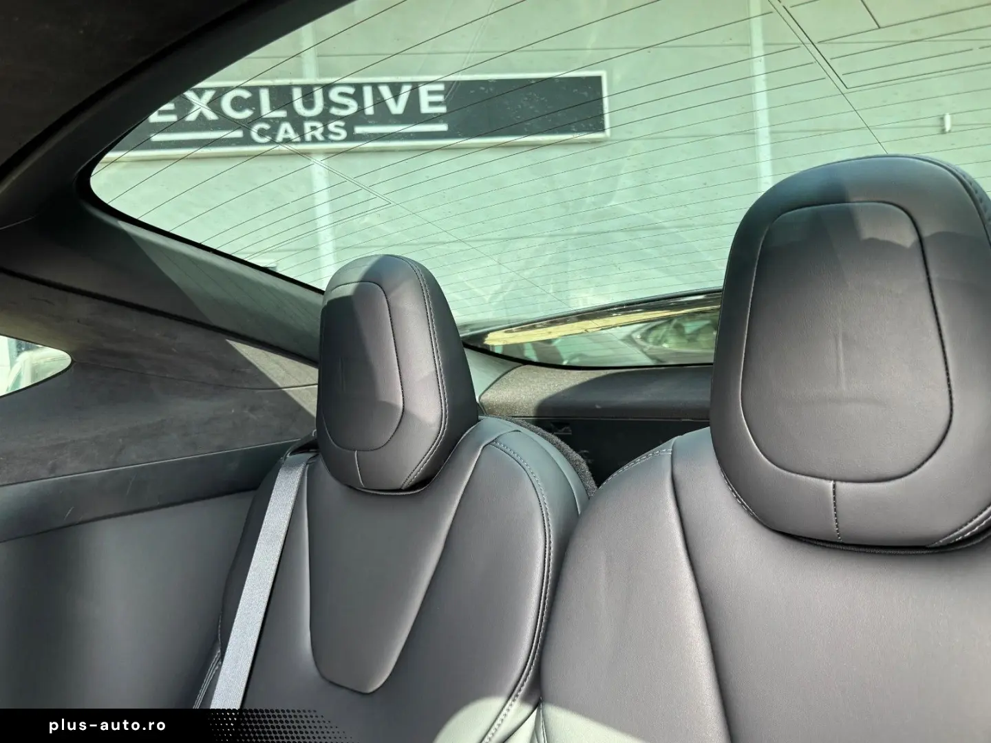 TESLA MODEL X LONG RAVEN PLUS   103kWh   FULL FSD