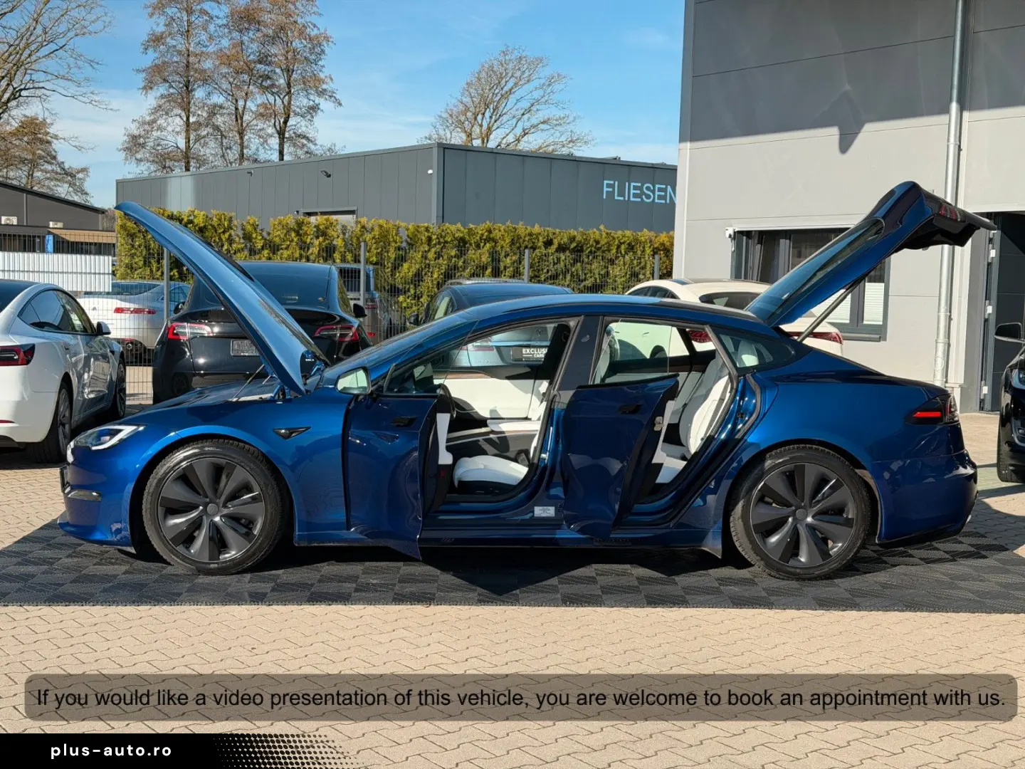 TESLA MODEL S PALLADIUM MAXIMAL RANGE   MATRIX LED