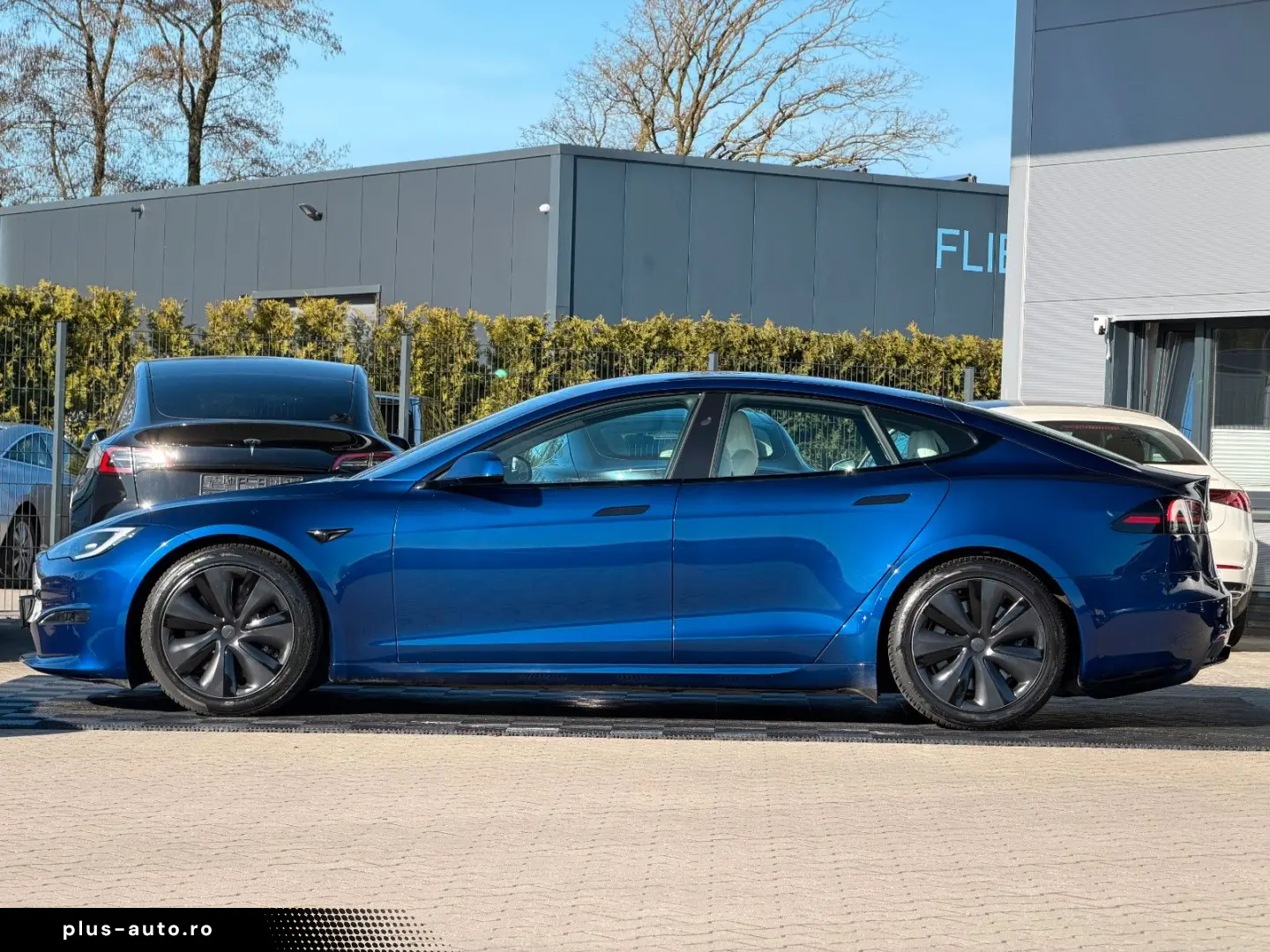 TESLA MODEL S PALLADIUM MAXIMAL RANGE   MATRIX LED