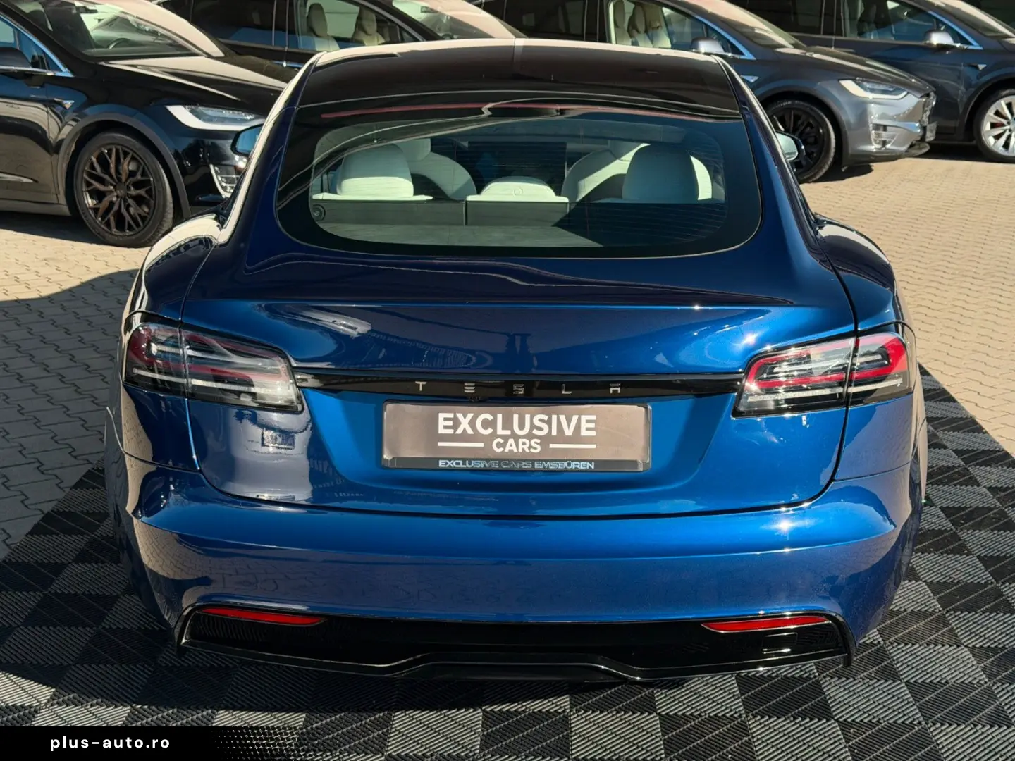 TESLA MODEL S PALLADIUM MAXIMAL RANGE   MATRIX LED