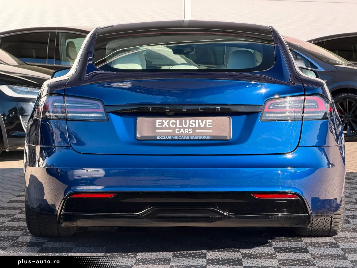 TESLA MODEL S PALLADIUM MAXIMAL RANGE   MATRIX LED