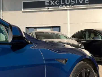 TESLA MODEL S PALLADIUM MAXIMAL RANGE   MATRIX LED