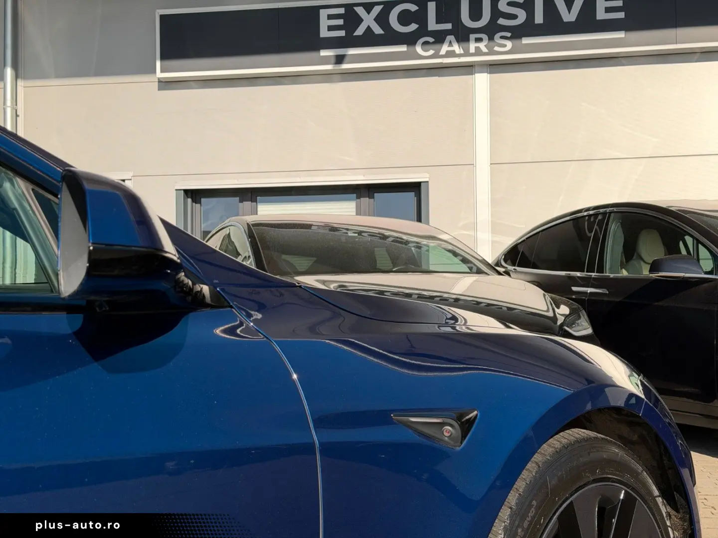 TESLA MODEL S PALLADIUM MAXIMAL RANGE   MATRIX LED